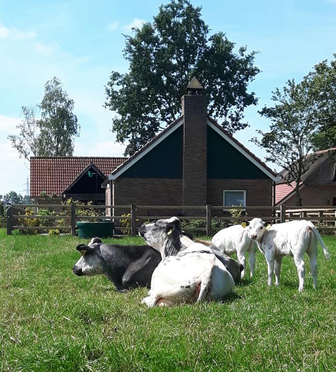 Het Kleine Landgoed Villa Haarle ภายนอก รูปภาพ